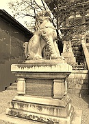 清水寺の狛犬