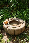 菊型水鉢