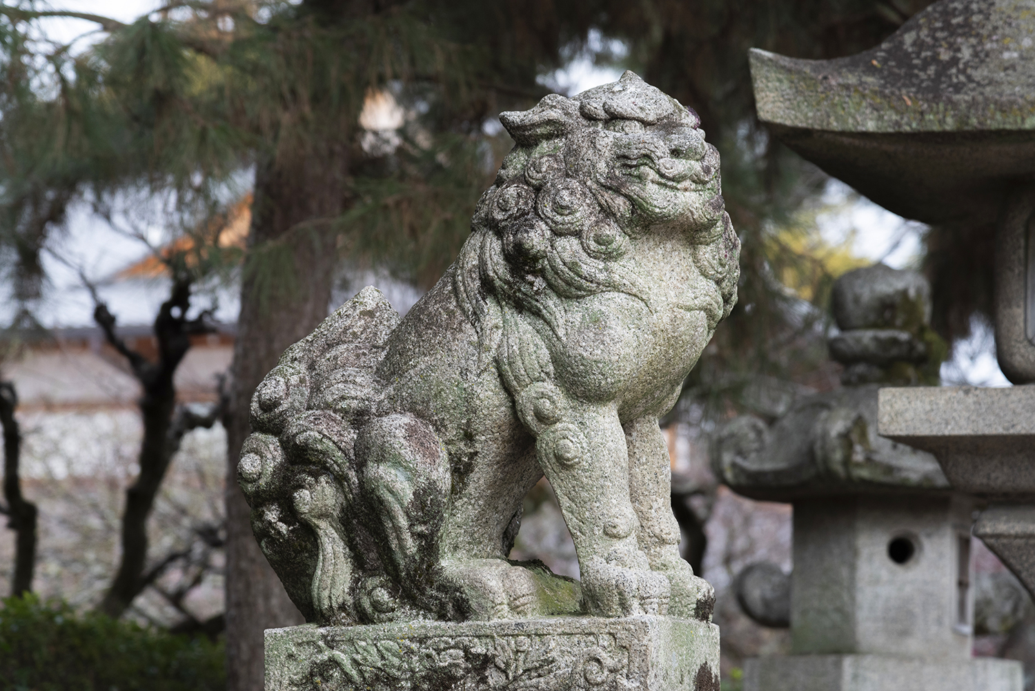 三の鳥居 狛犬
