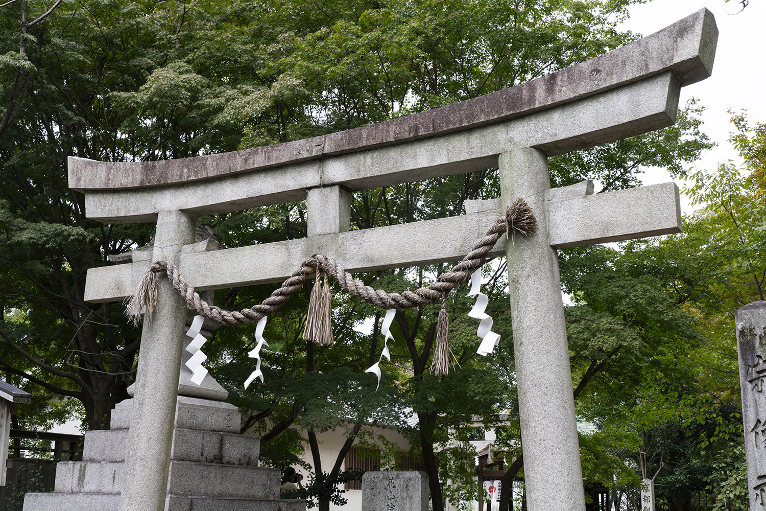 鳥居を建てる