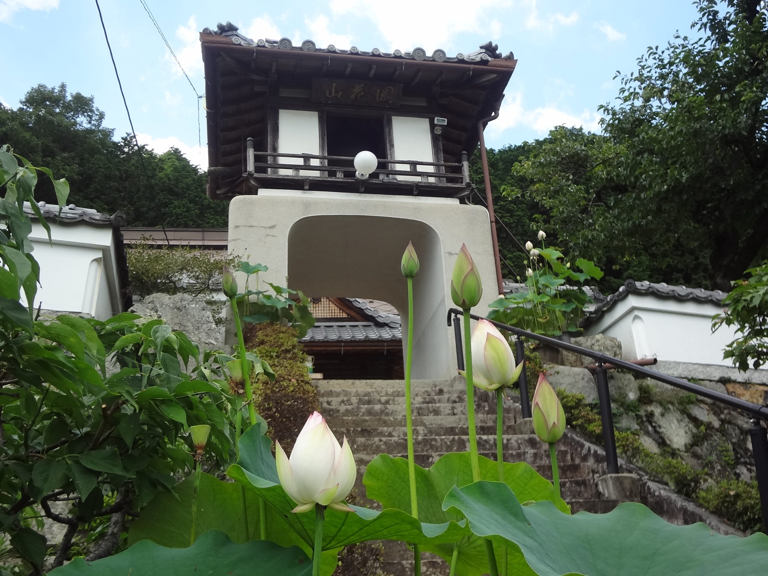 阿弥陀寺