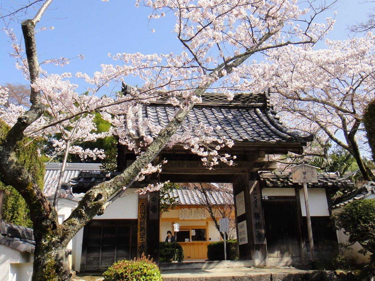 花の寺霊園（勝持寺）