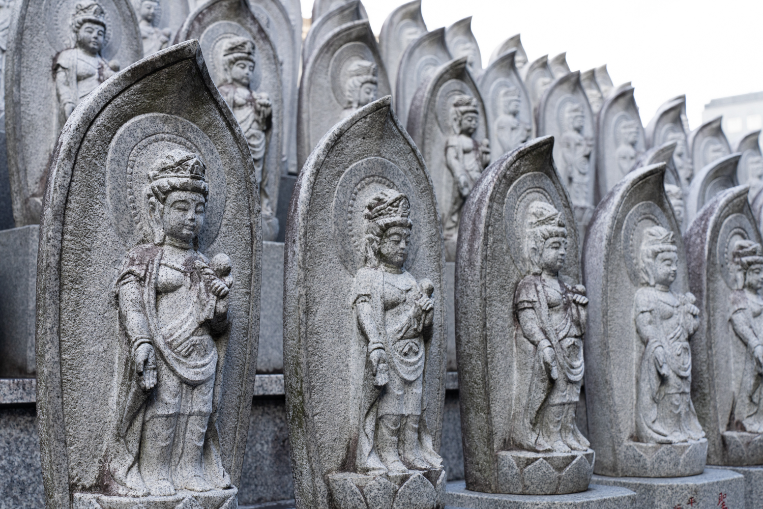 永代供養墓 | 誠心院